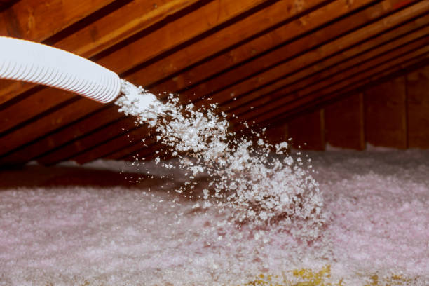 Best Insulation Installation Services in Valencia West, AZ