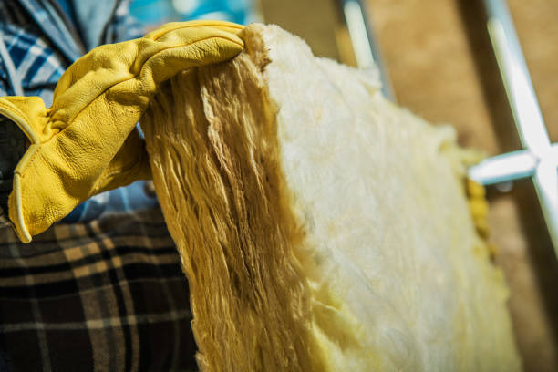 Best Insulation for Specific Applications in Valencia West, AZ