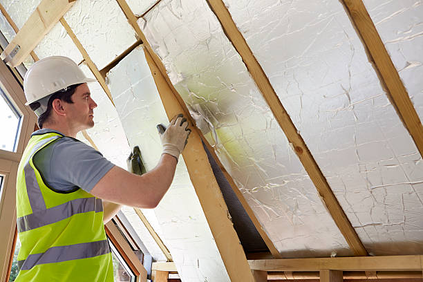 Best Commercial Insulation in Valencia West, AZ