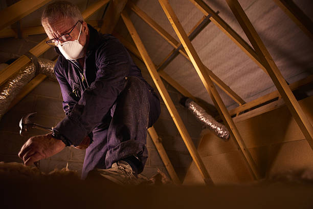 Best Insulation Maintenance and Repair in Valencia West, AZ